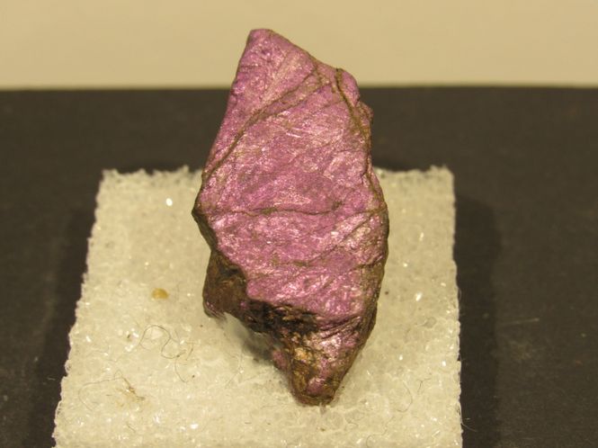 Hovedbilde Purpuritt fra Namibia