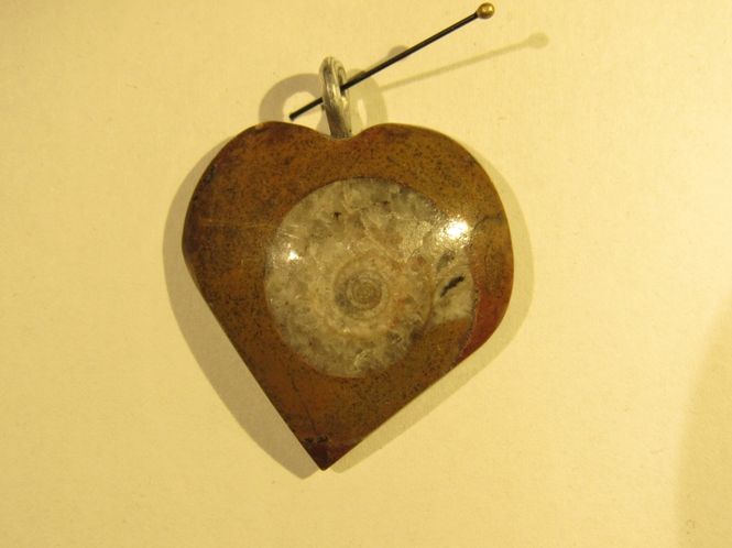 Hovedbilde Hjerteformet goniatitt-anheng (fossilt blekksprutskall)