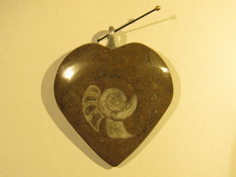 Hjerteformet goniatitt-anheng (fossilt blekksprutskall)
