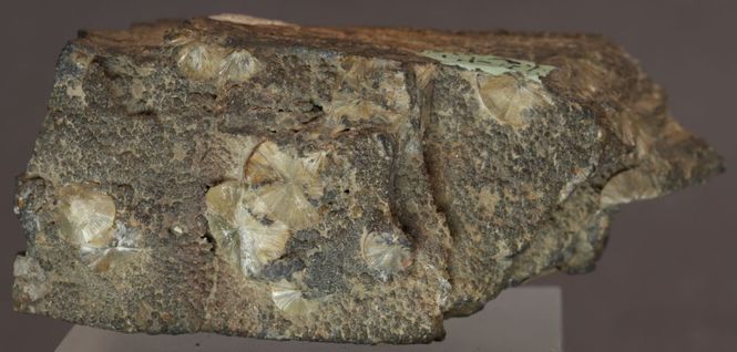 Hovedbilde Wavelitt, Devon, Storbritannia
