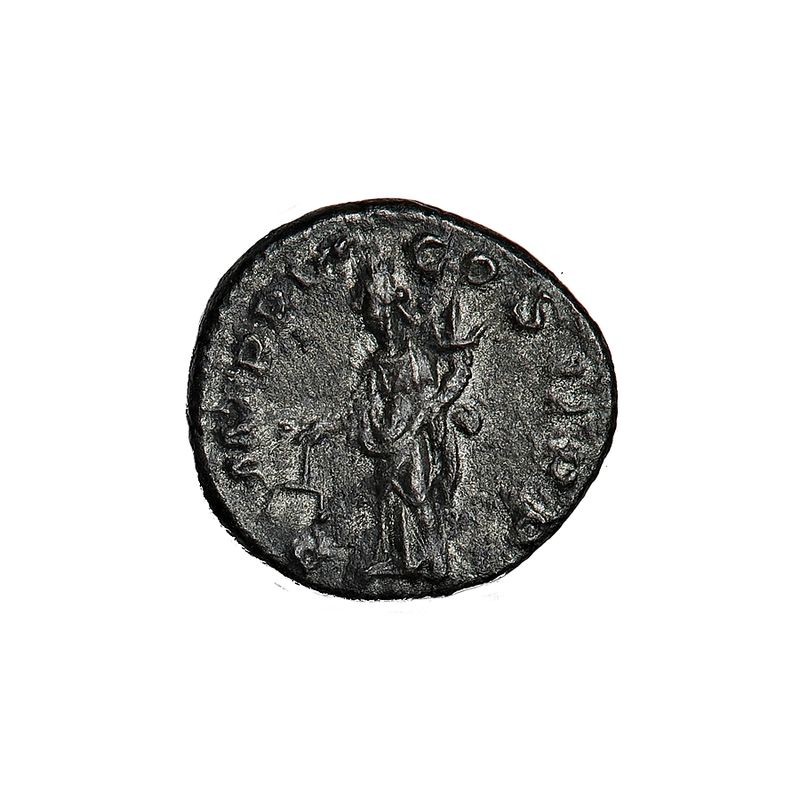 Severus Alexander Denar 222-235