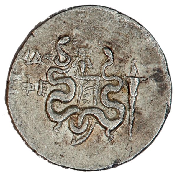 Hovedbilde Efesos, cistophor, bie, 180-67 f.Kr.