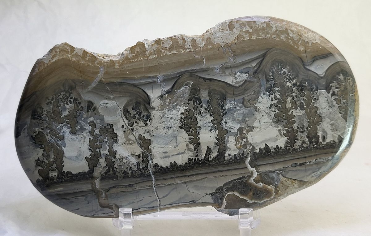 Cotham Marble, landskapsmarmor