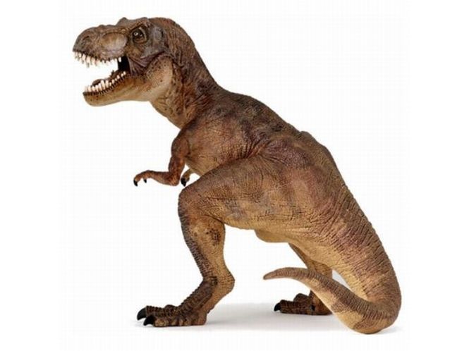 Hovedbilde Tyrannosaurus rex, stående figur, brun