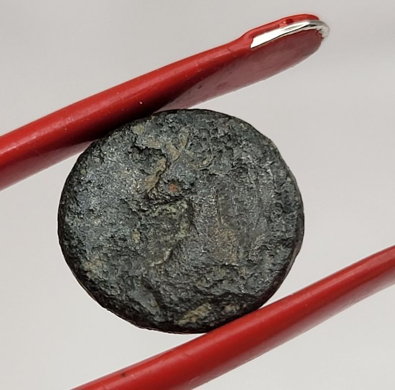 Bie fra Efesos, chalkos, 280-258 f.Kr.