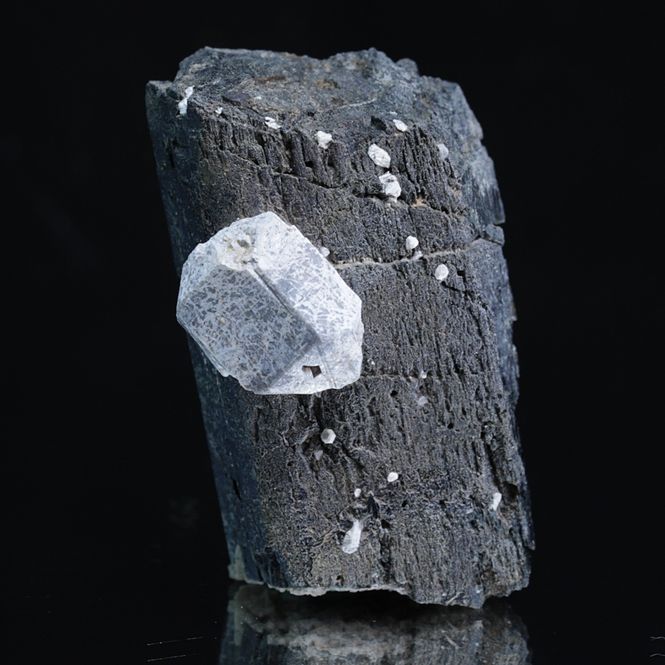 Hovedbilde Hydroksylapatitt med hornblende, Oksøyekollen, Snarum