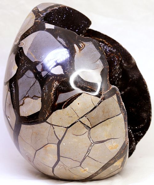 Hovedbilde Septarian (