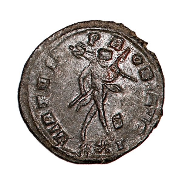 Hovedbilde Probus, antoninian, år 276-282
