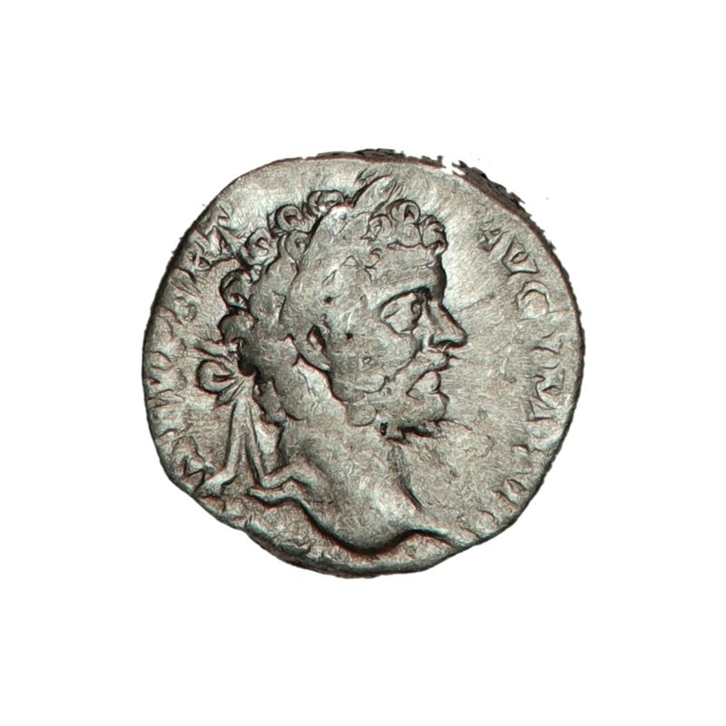 Gladiator, Septimius Severus, denar, 193-211