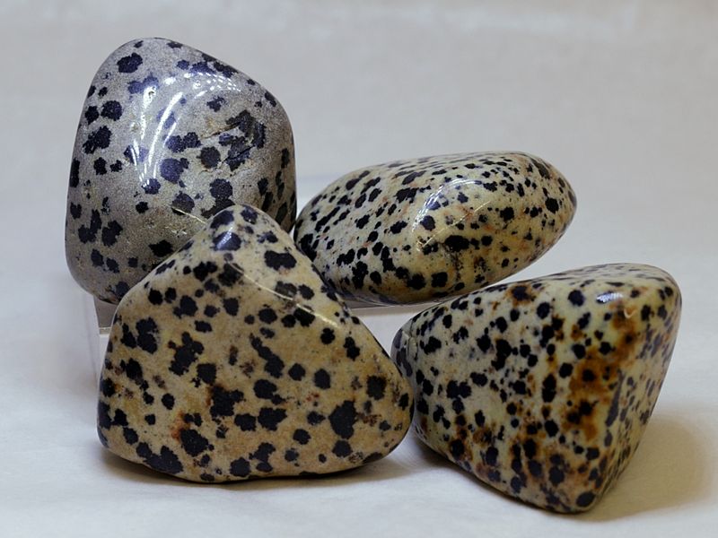 Dalmatinerstein, tromlet, svært store, 4,5-5 cm