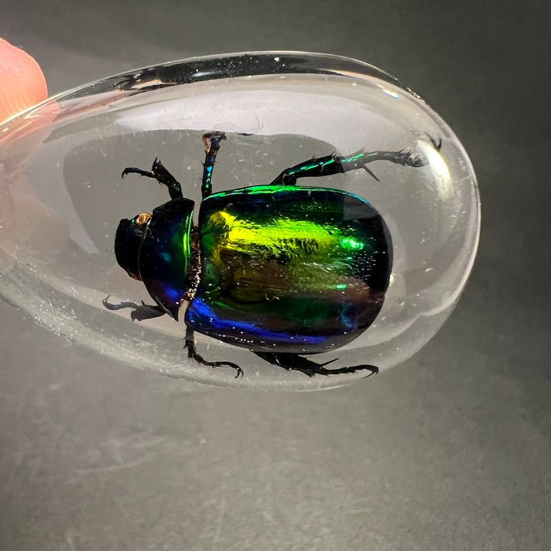 Nøkkelknippe med grønnglinsende tordivel (Scarabaeidae sp.) 
