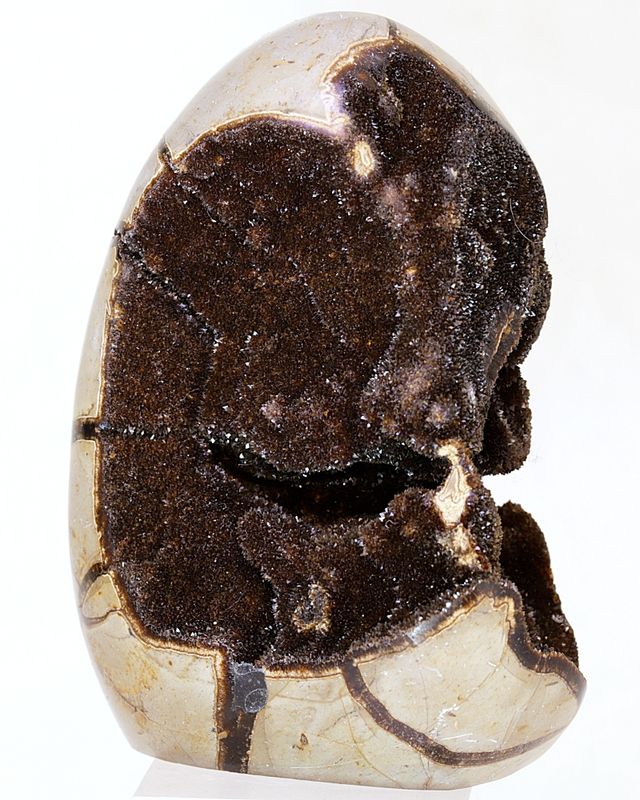Septarian (