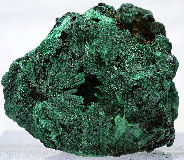 Hovedbilde Silkemalakitt fra D. R. Kongo