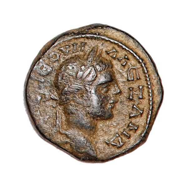 Hovedbilde Severus Alexander, chalkos, år 222-235