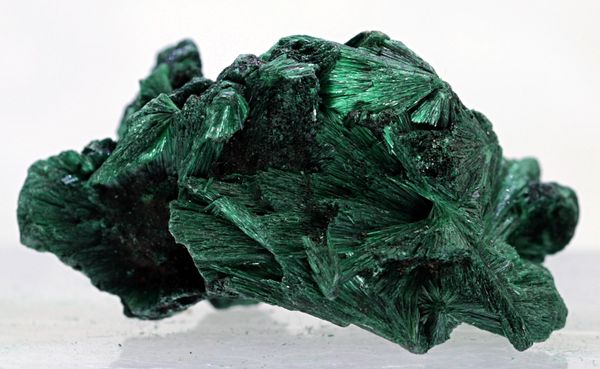 Hovedbilde Silkemalakitt fra D. R. Kongo