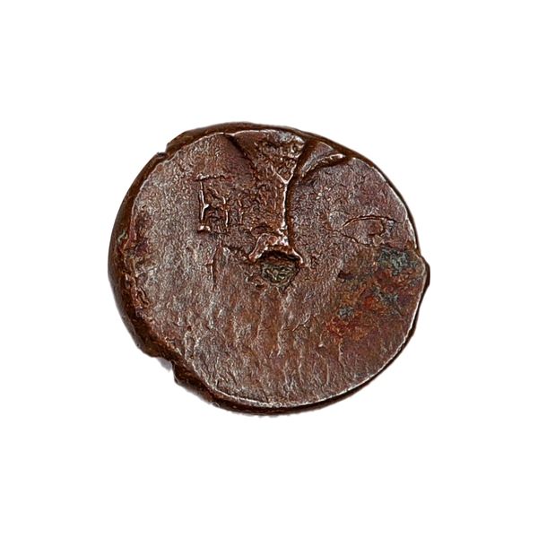 Hovedbilde Hest fra Kyme, 400-300 f.Kr.