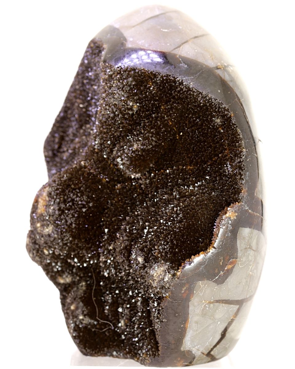 Septarian (