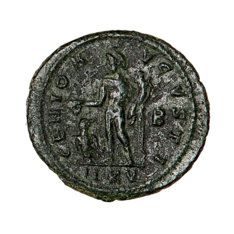 Maximian II Daia, follis, 305-308