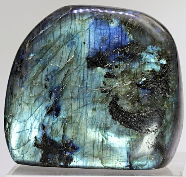 Hovedbilde Labradoritt/spektrolitt, helslipt (labradorite, spectrolite)