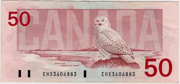 Hovedbilde Canada, 50 dollar 1988, snøugle
