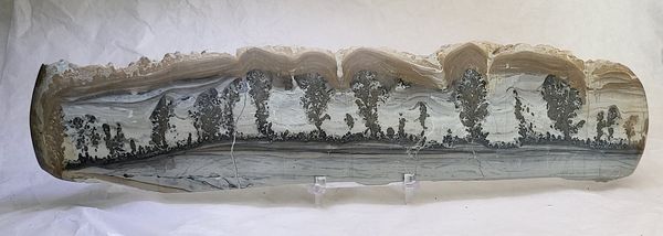 Hovedbilde Cotham Marble, landskapsmarmor