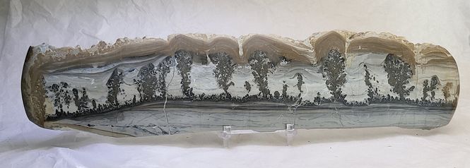 Hovedbilde Cotham Marble, landskapsmarmor