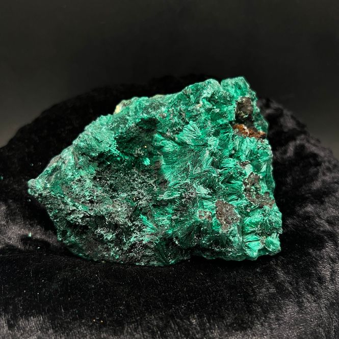 Hovedbilde Stor silkemalakitt fra D. R. Kongo