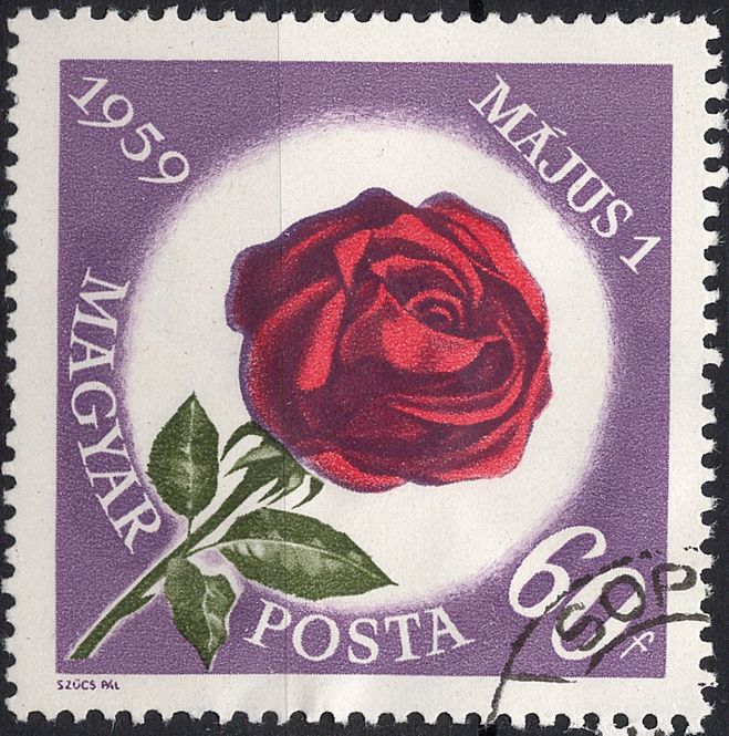 Hovedbilde Blomster og planter, Øst-Europa