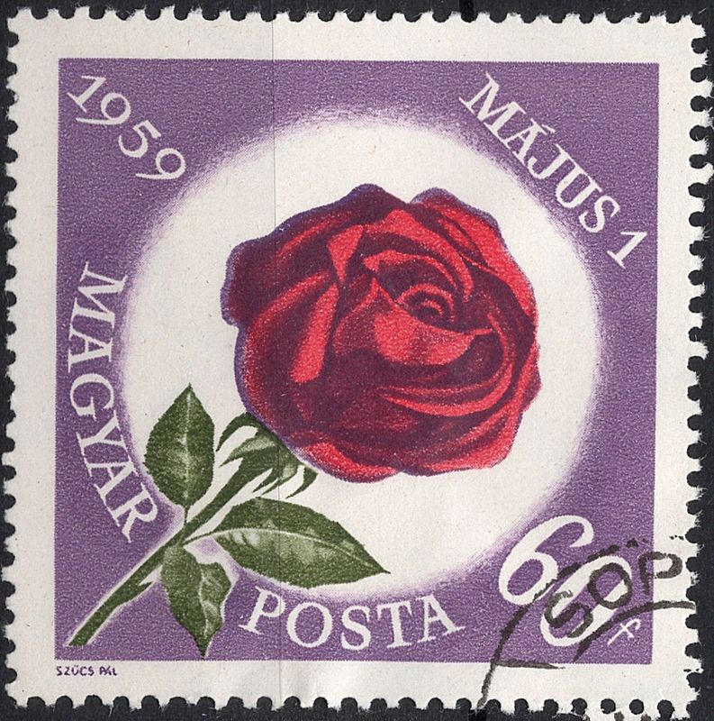 Blomster og planter, Øst-Europa