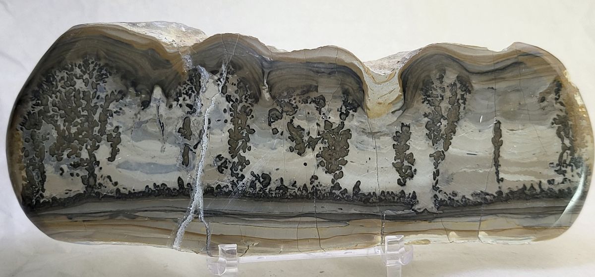 Cotham Marble, landskapsmarmor