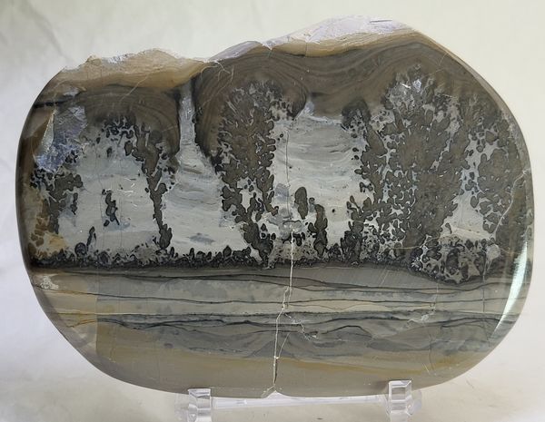 Hovedbilde Cotham Marble, landskapsmarmor