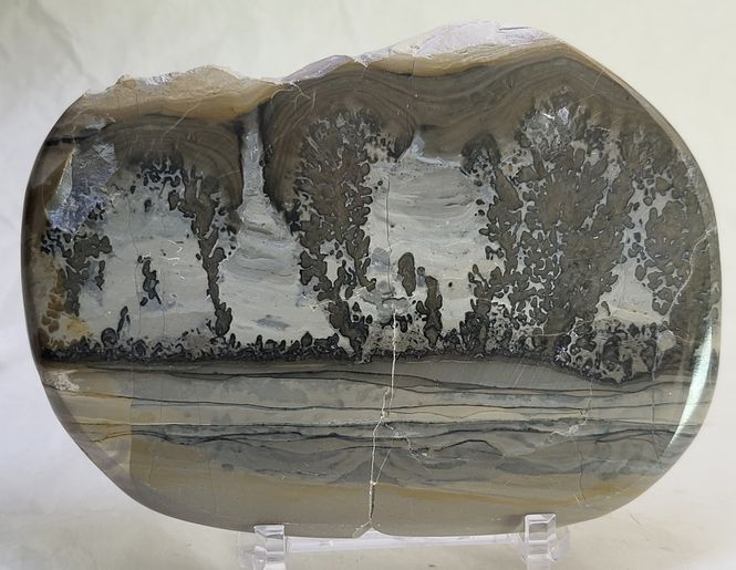 Hovedbilde Cotham Marble, landskapsmarmor