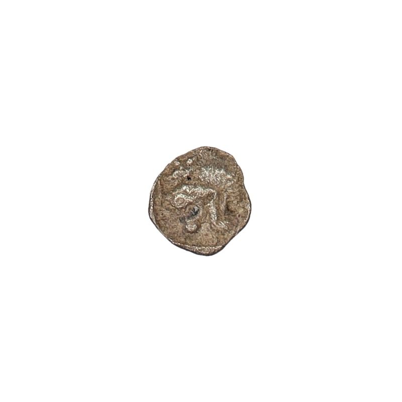 Kyzikos, halv obol, 450-400 f.Kr.