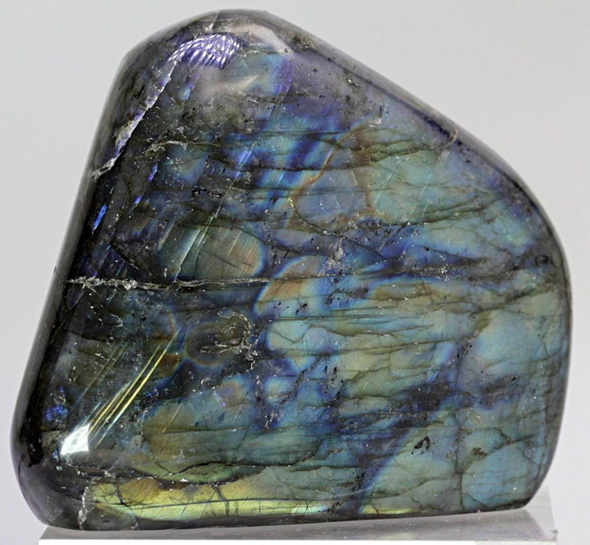 Labradoritt/spektrolitt, helslipt (labradorite, spectrolite)