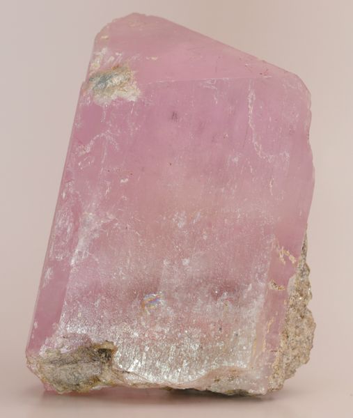 Hovedbilde Spodumenkrystall (var. kunzitt), Afghanistan