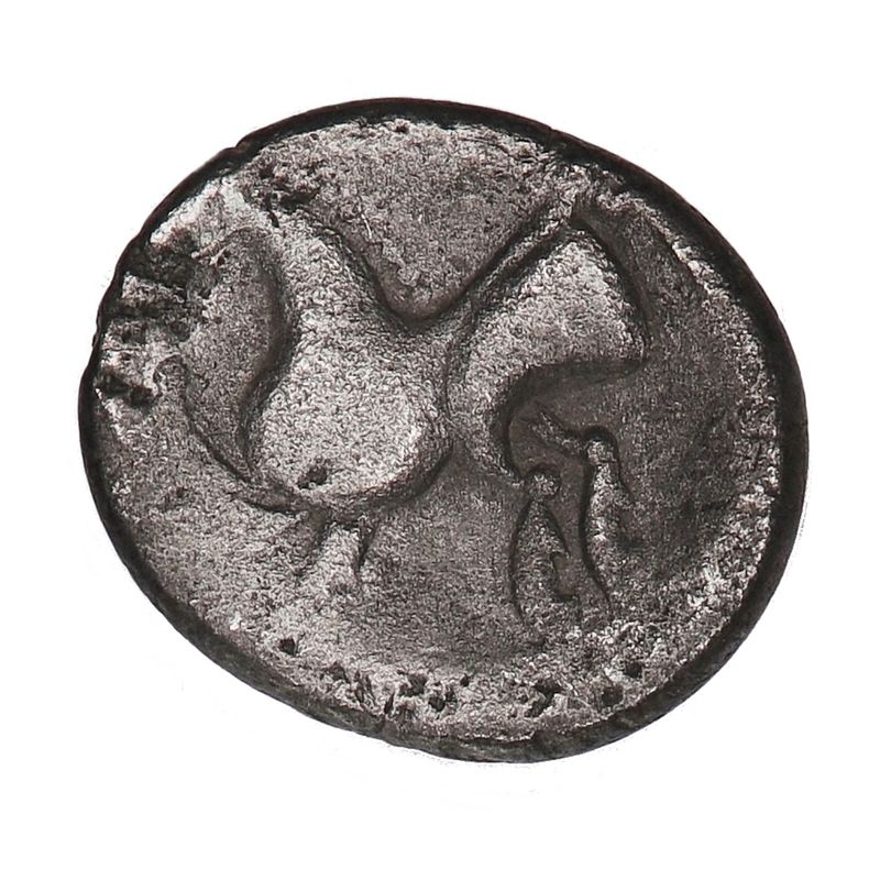 Snabelhest, Costoboci, år 200-100 f.Kr.